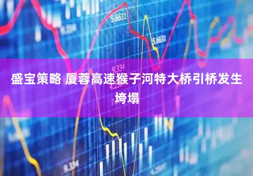 盛宝策略 厦蓉高速猴子河特大桥引桥发生垮塌