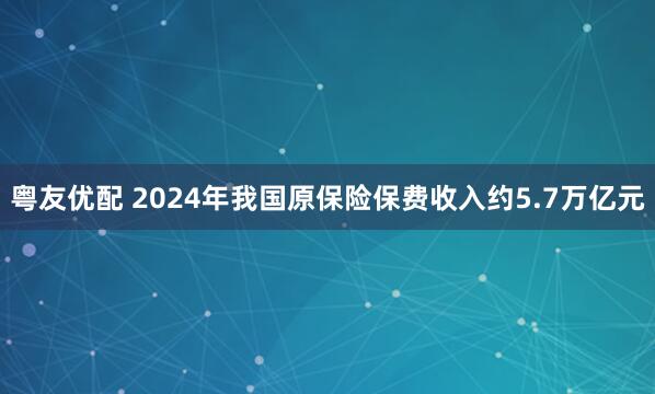 粤友优配 2024年我国原保险保费收入约5.7万亿元