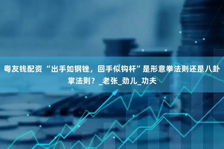 粤友钱配资 “出手如钢锉，回手似钩杆”是形意拳法则还是八卦掌法则？_老张_劲儿_功夫