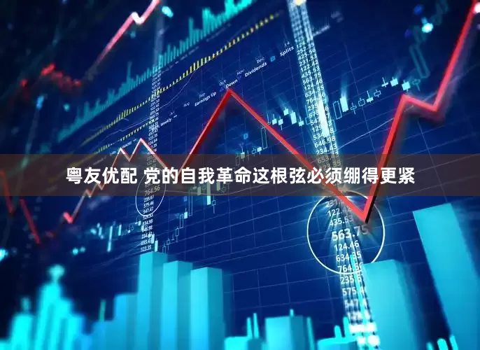 粤友优配 党的自我革命这根弦必须绷得更紧