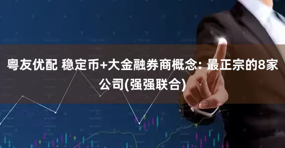 粤友优配 稳定币+大金融券商概念: 最正宗的8家公司(强强联合)
