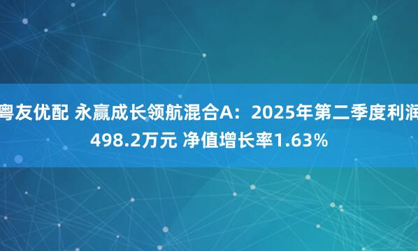 粤友优配 永赢成长领航混合A:2025年第二季度利润498.2万元 净值增长率1.63%